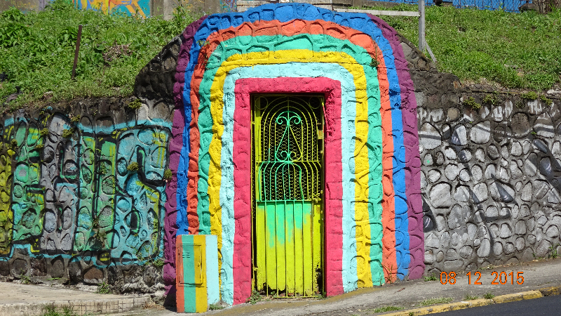 DSC00306