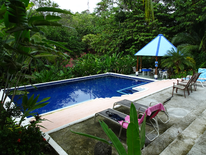 DSC00378