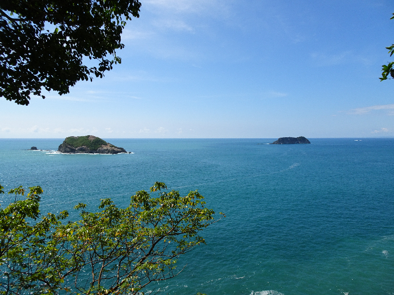 DSC00420