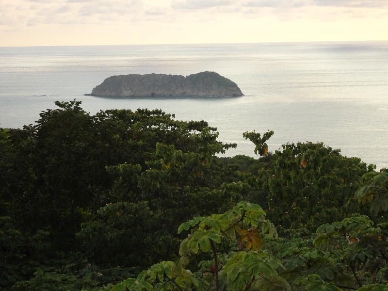 DSC00600