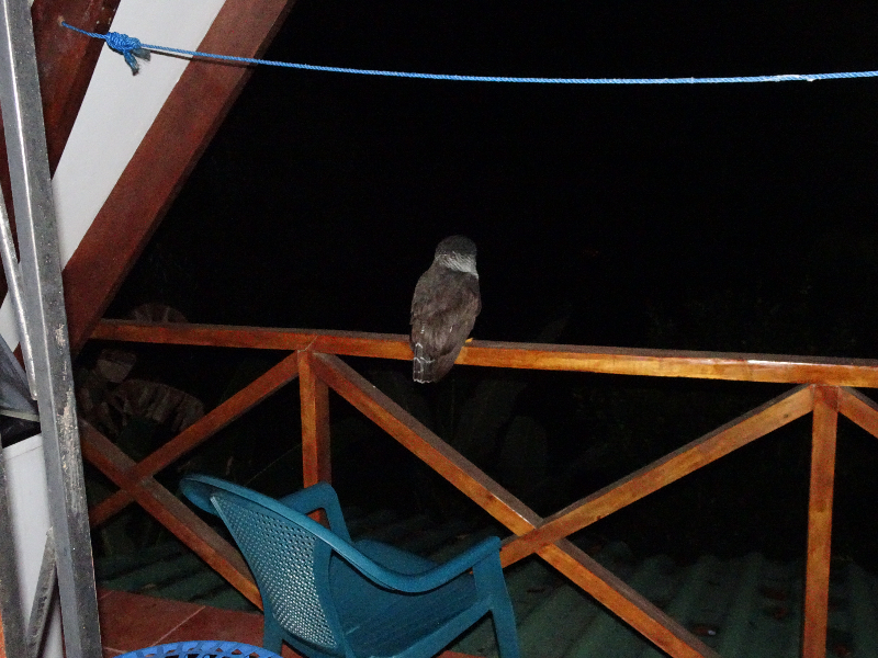DSC00783
