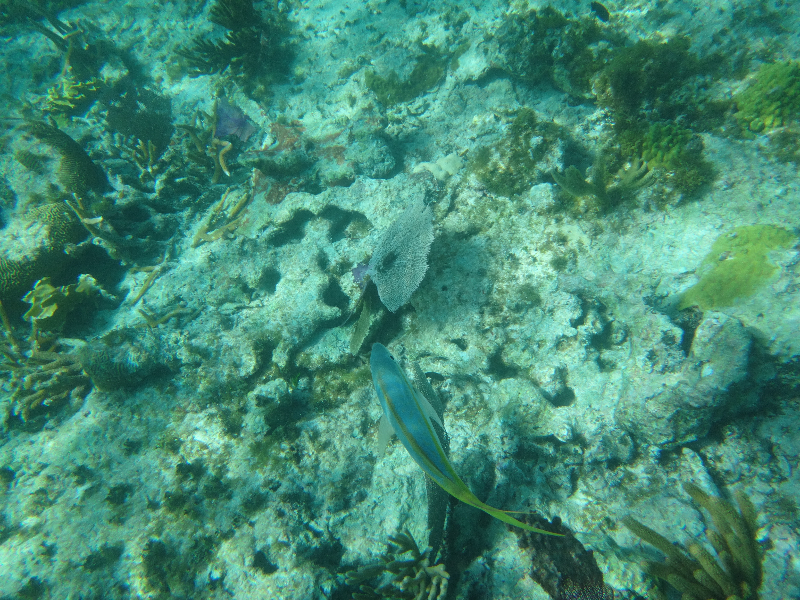 DSC00807