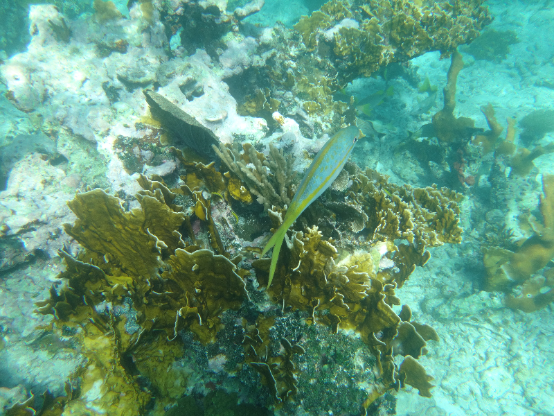 DSC00809