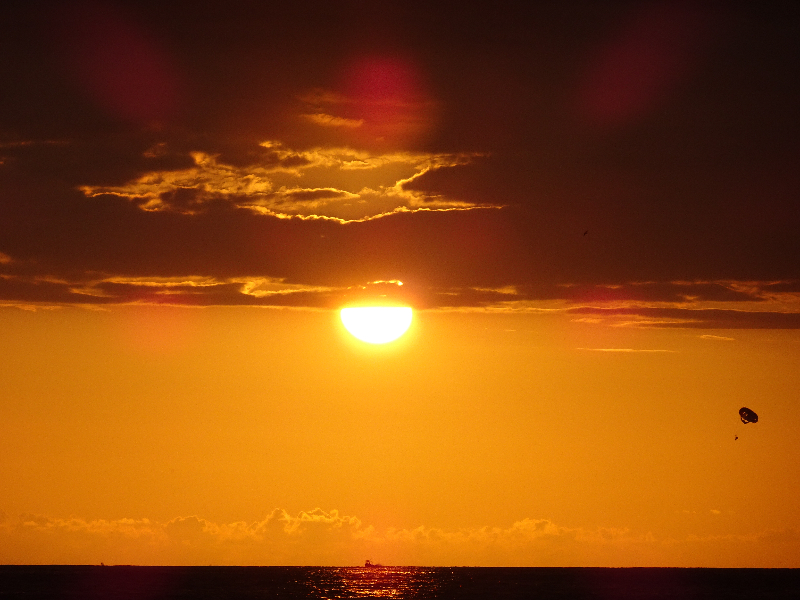 DSC00984