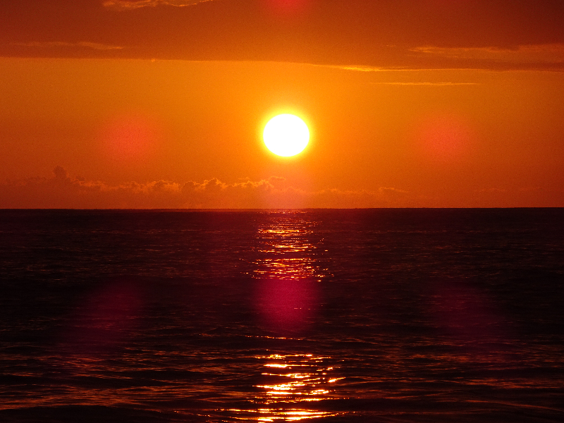 DSC01003