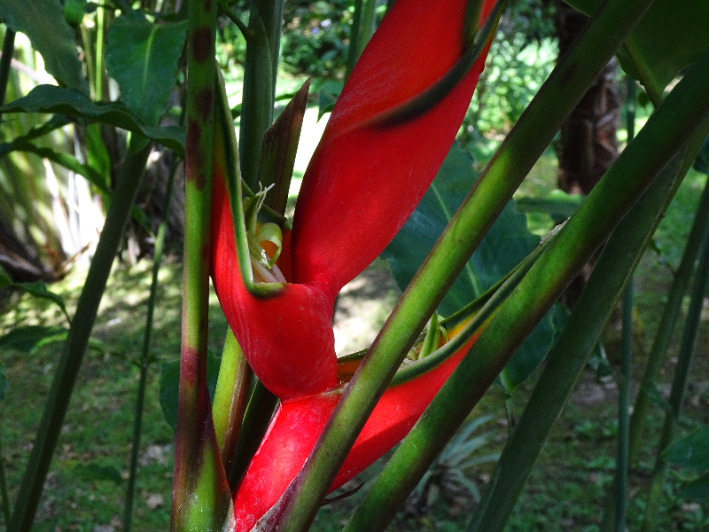 DSC01040