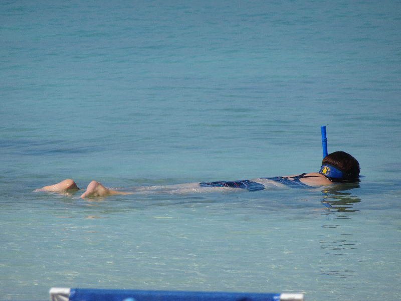DSC01134