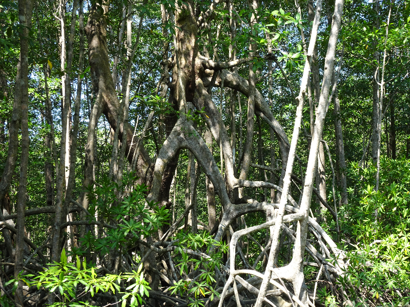 DSC01226