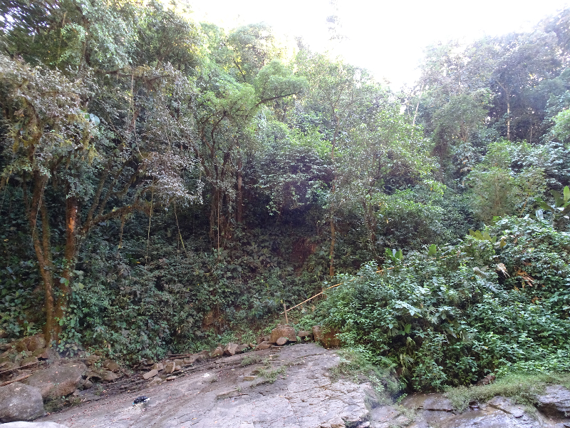 DSC01317