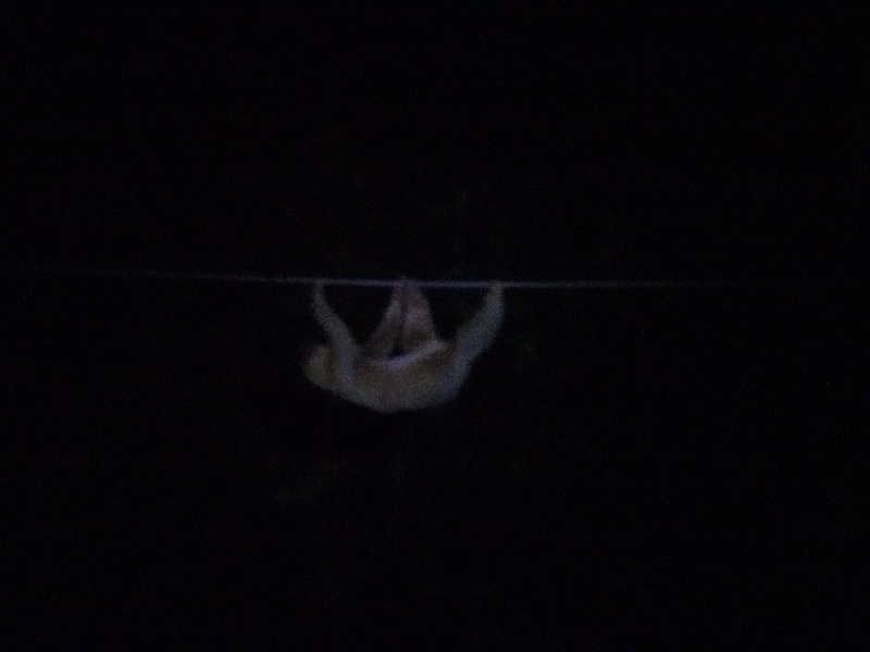 DSC01422