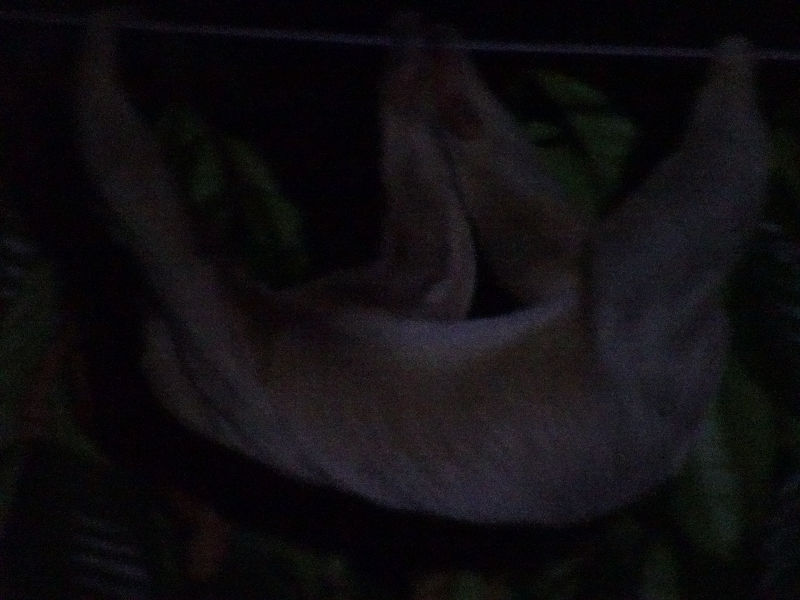 DSC01425
