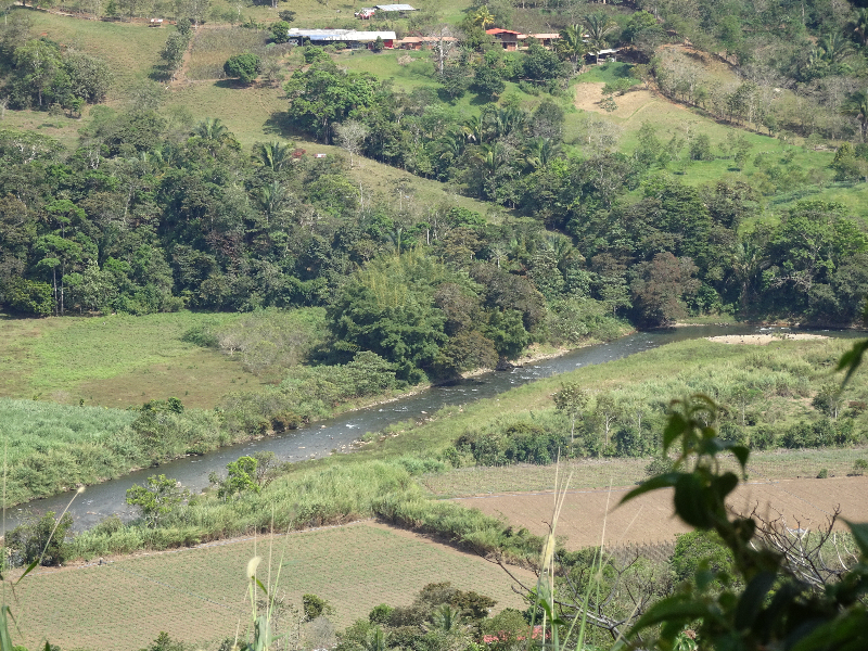 DSC01445