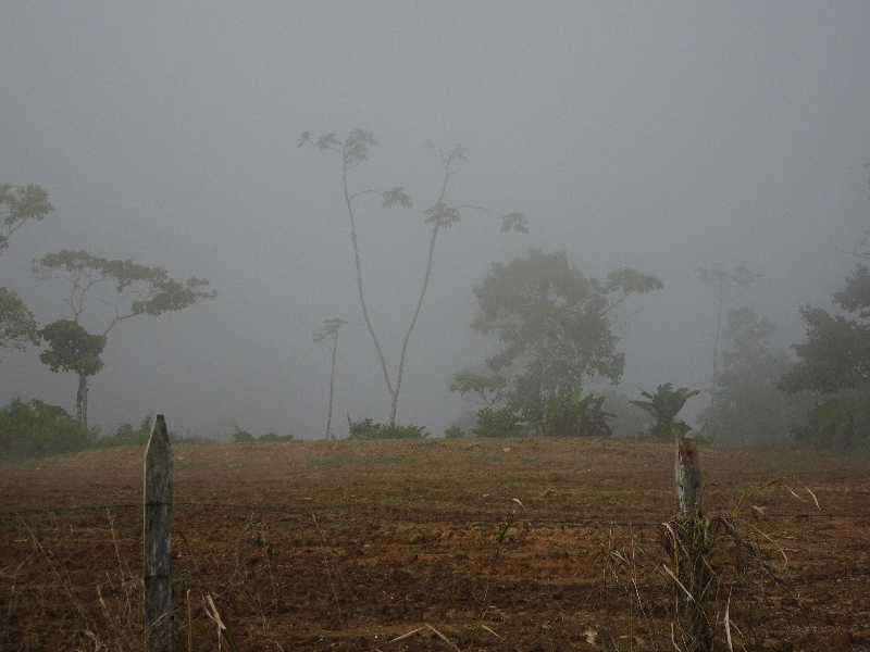 DSC01456
