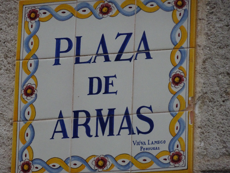 DSC01558