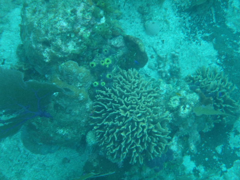 DSC00853