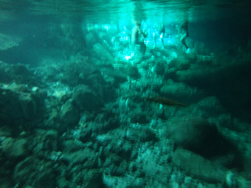DSC00906