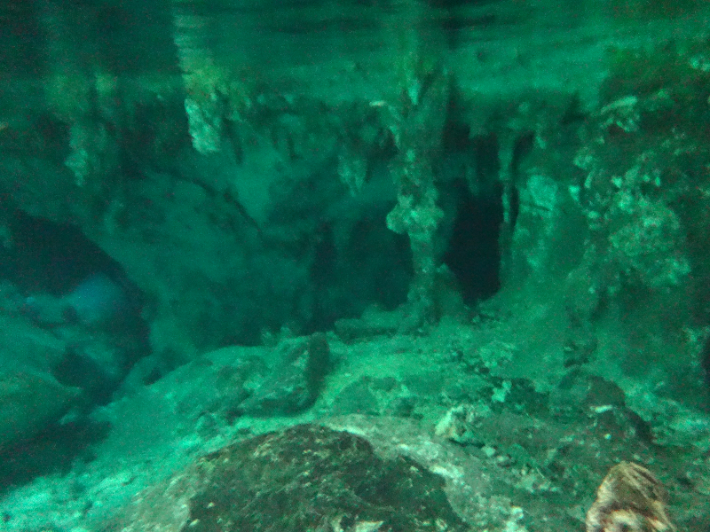 DSC00908