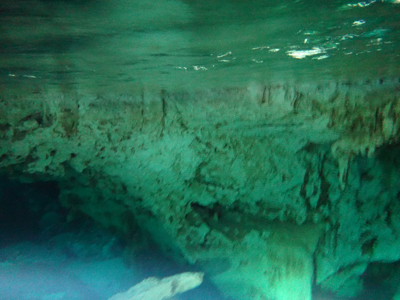 DSC00910