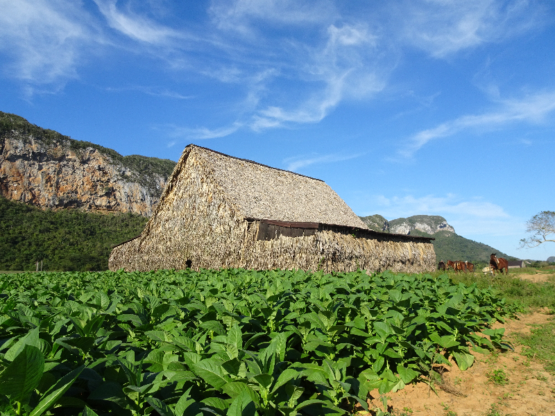 DSC01296