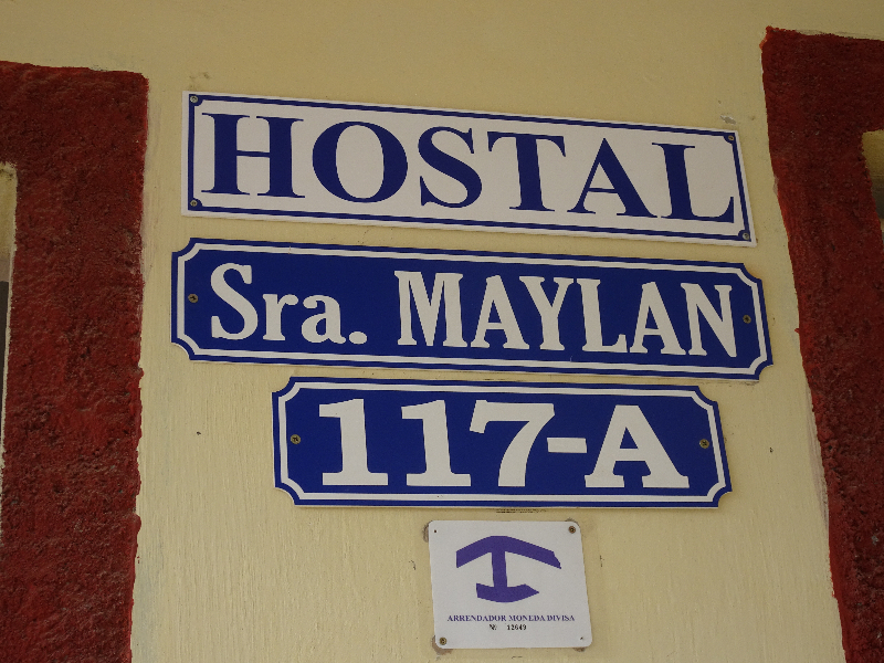 DSC01954