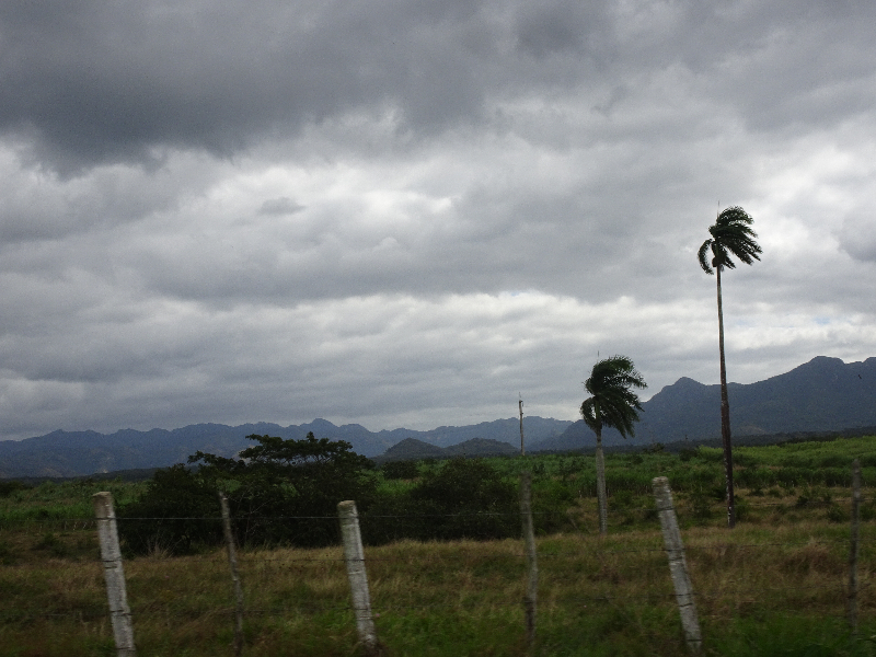 DSC01967