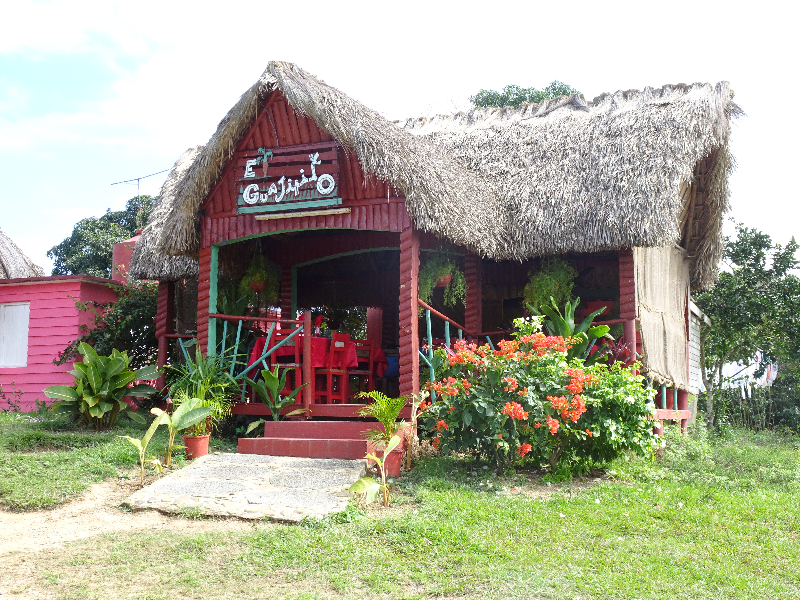 DSC02019
