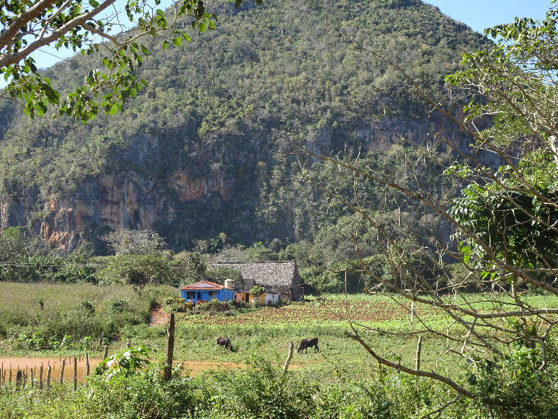 DSC02024