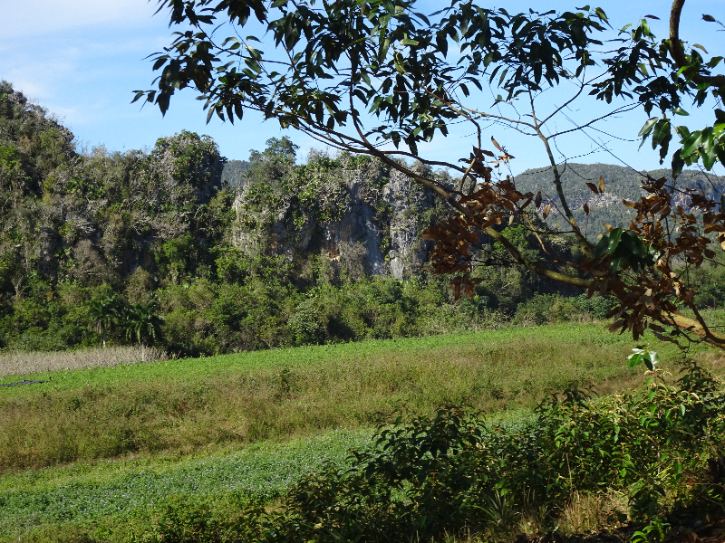 DSC02030