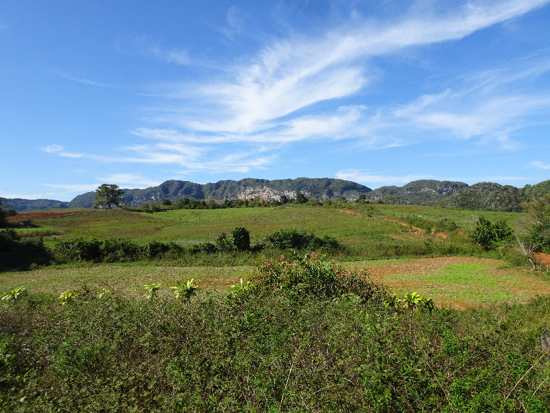 DSC02034