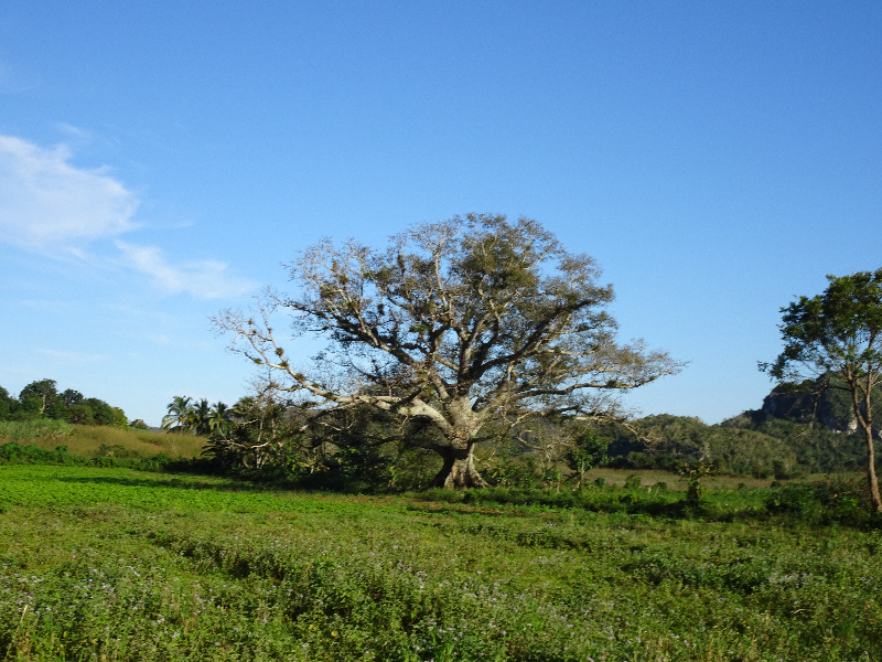 DSC02065