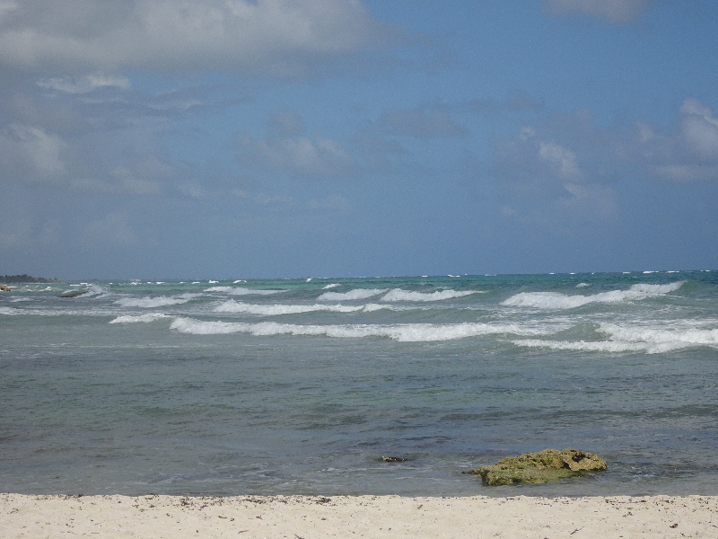 DSC02160