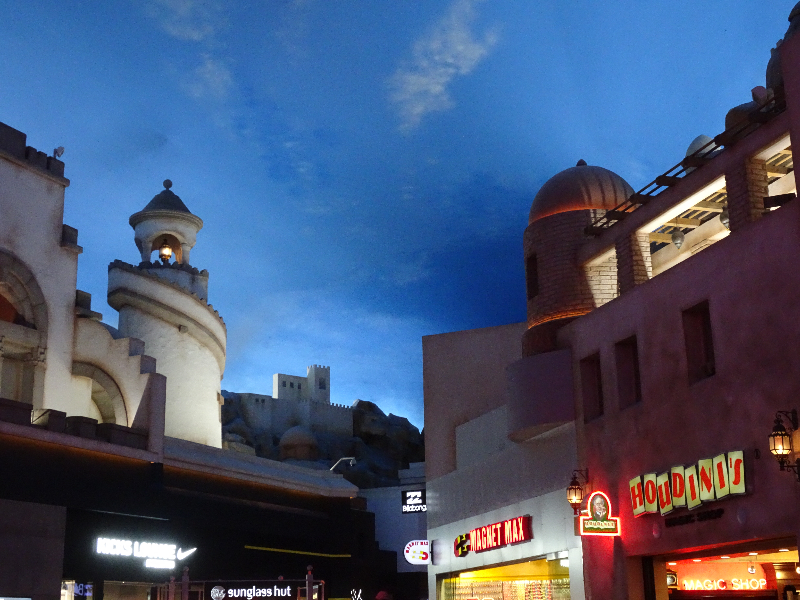 DSC02406
