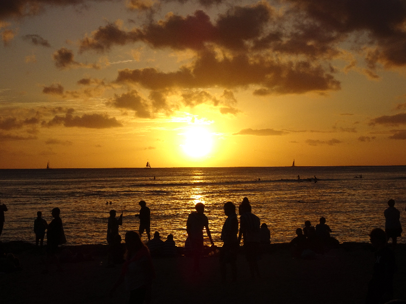 DSC02520