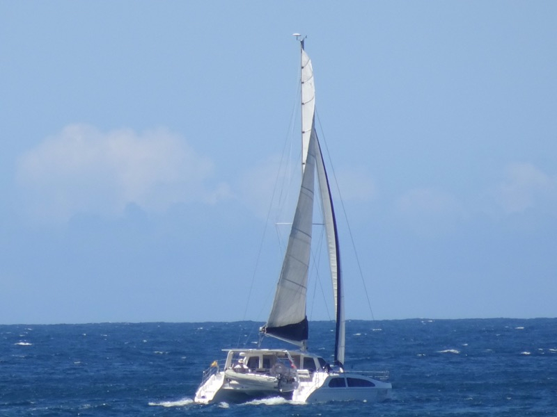 DSC02726