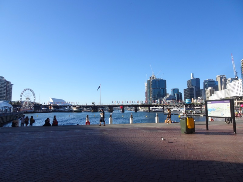 DSC02770