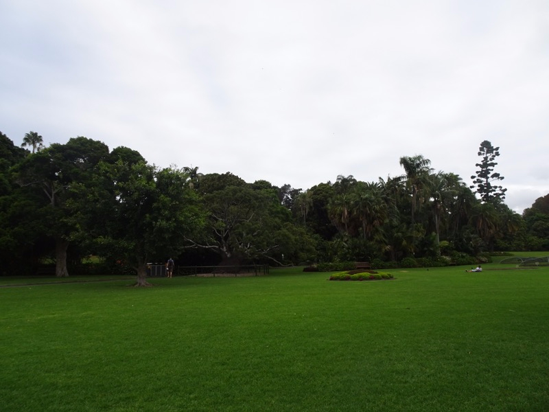 DSC02990