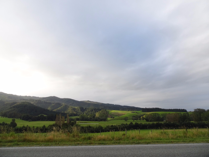 DSC03098