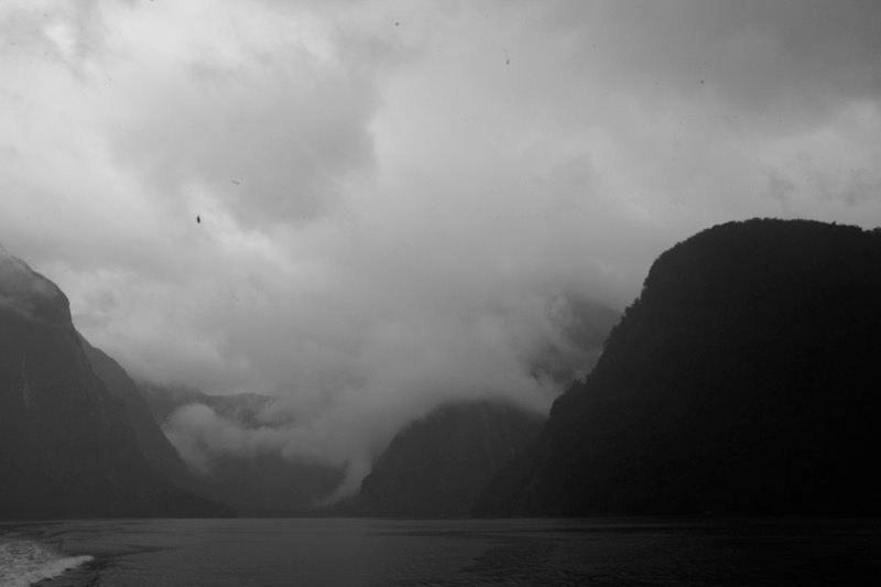 _MG_0102