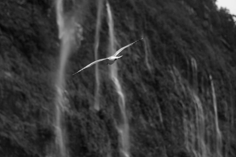 _MG_0140