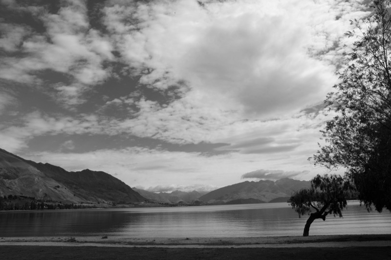 _MG_0586