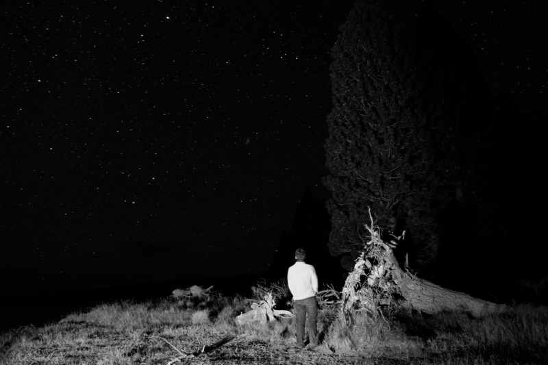 _MG_9431