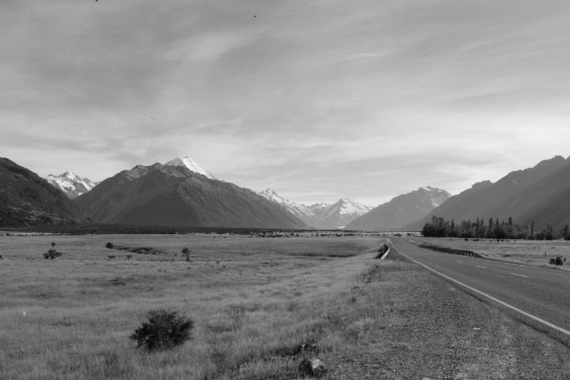 _MG_9494