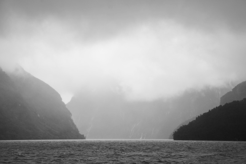 _MG_9847