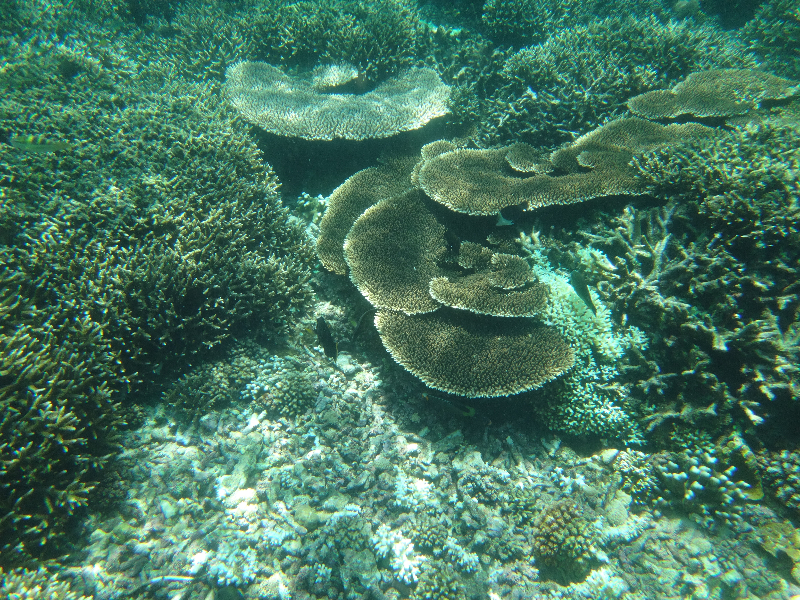 DSC01200