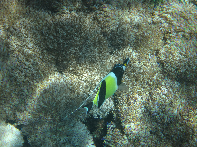 DSC01204