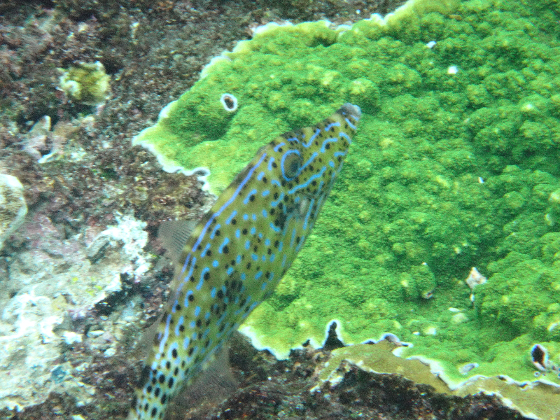 DSC01249