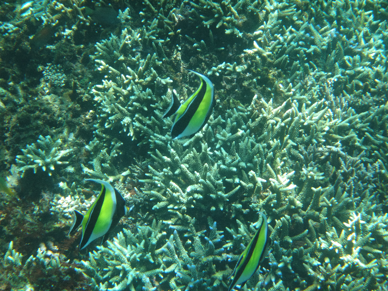 DSC01263