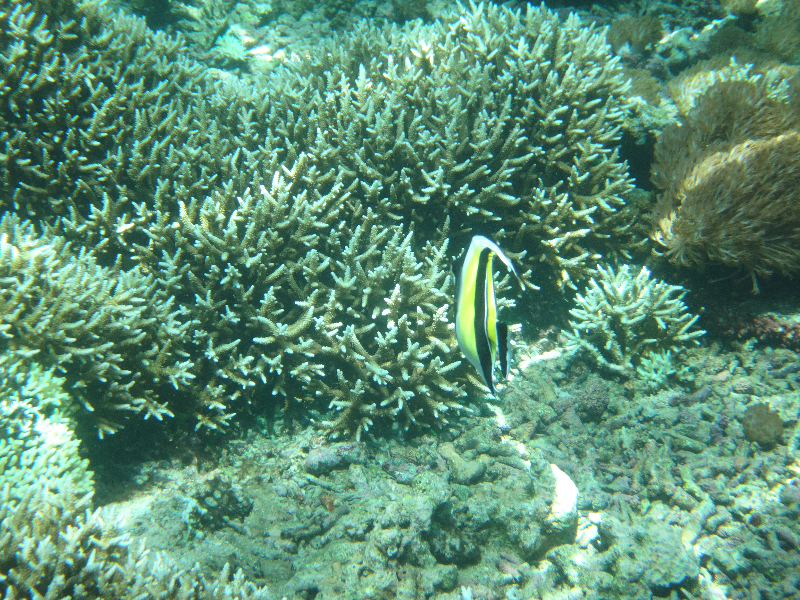 DSC01274