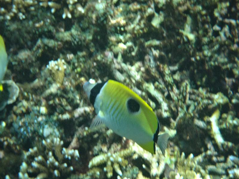 DSC01281