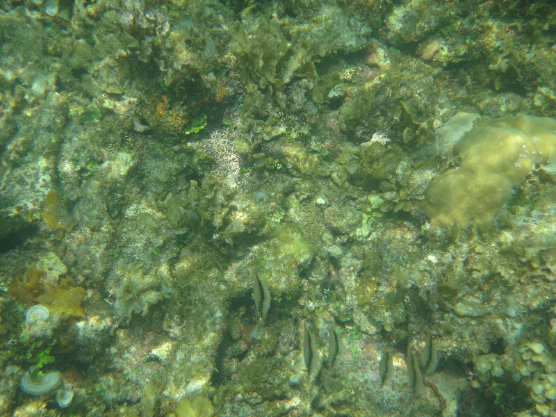 DSC01329
